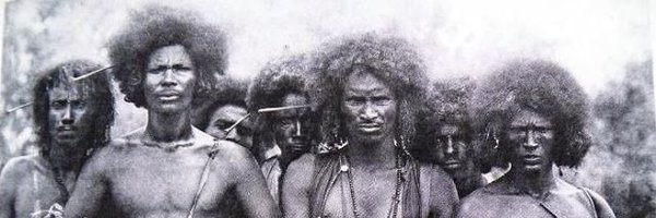 MorviSwift Profile Banner