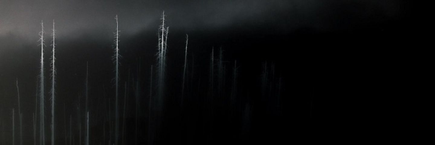 _TorturedSoul's profile banner image