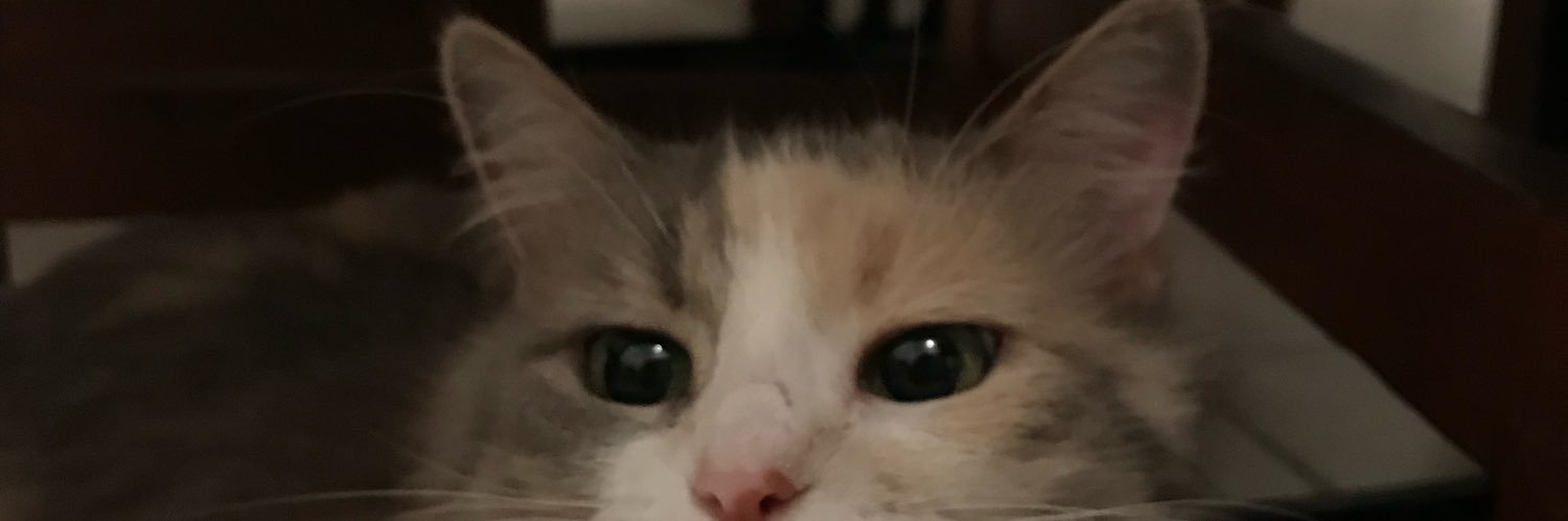 Lalubez's profile banner image