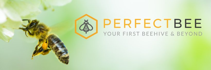 PerfectBee's profile banner image
