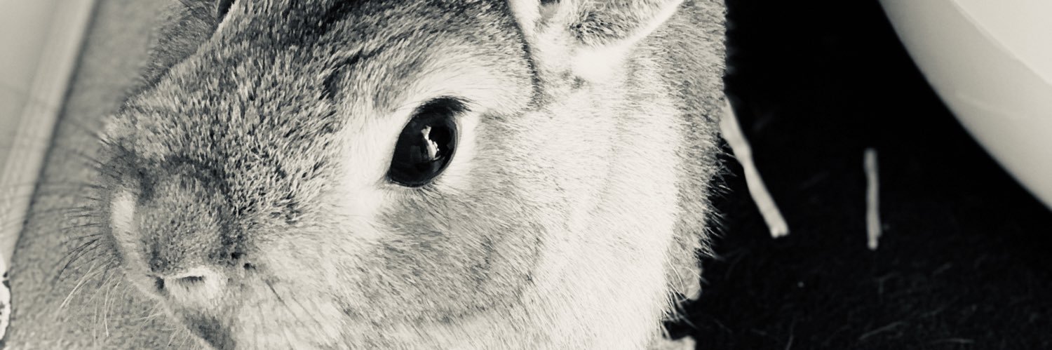 a_s___k_o's profile banner image