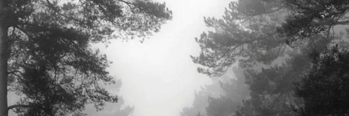 yolimarich's profile banner image