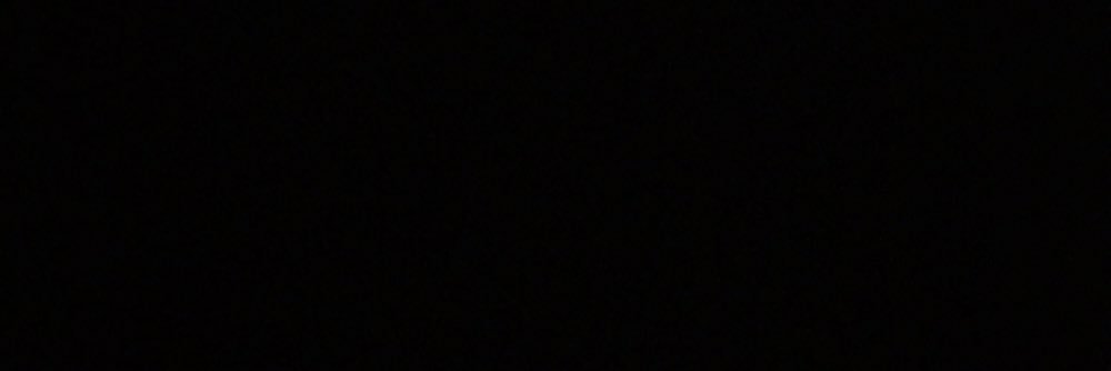 dolphinbutera's profile banner image