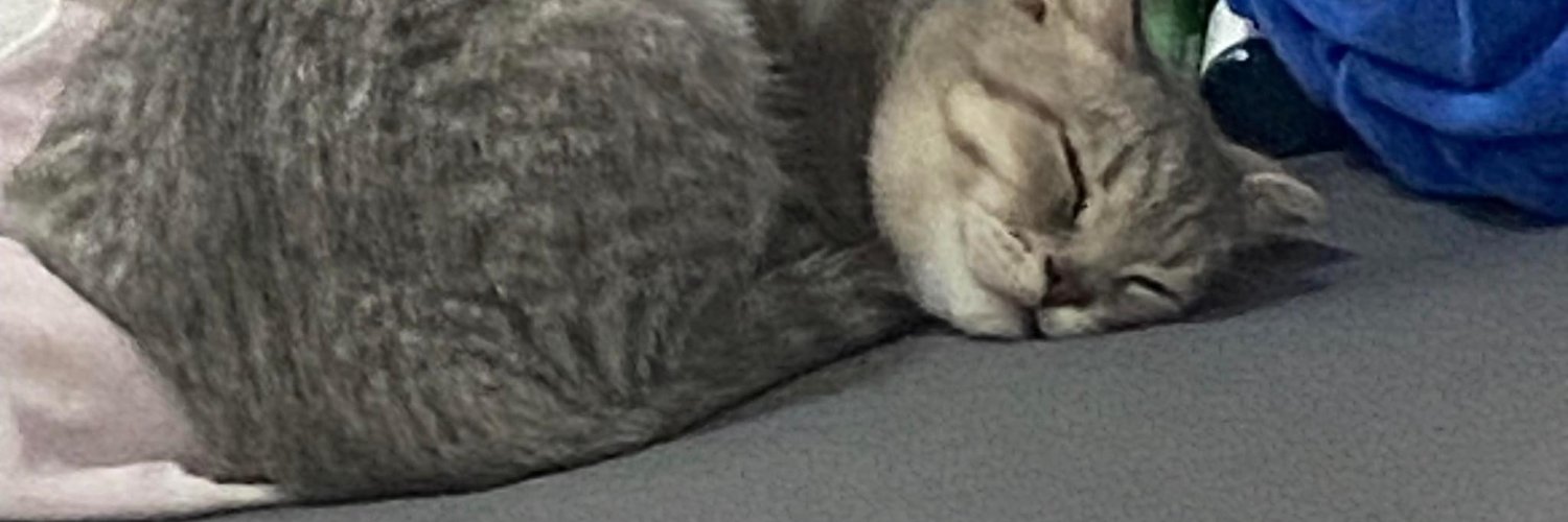 Bé Mèo Mít Uớt 🔥 banner