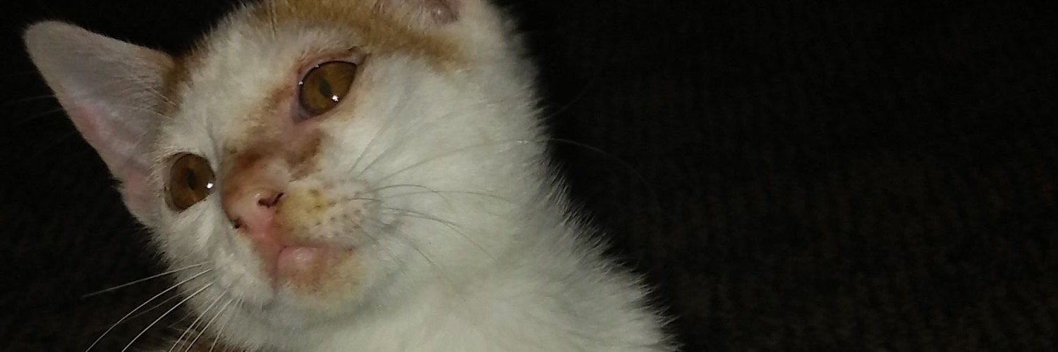 captain_cody_'s profile banner image