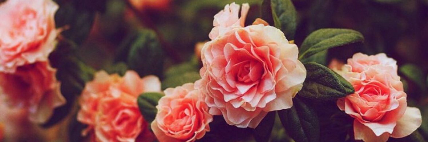 kon_lewi's profile banner image