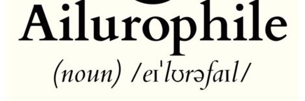 TaptukEmreErkoc Profile Banner