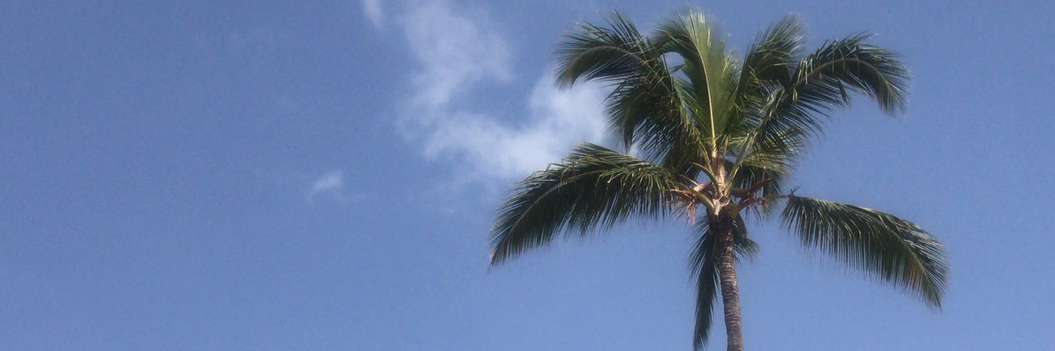 Staceybradleyx's profile banner image