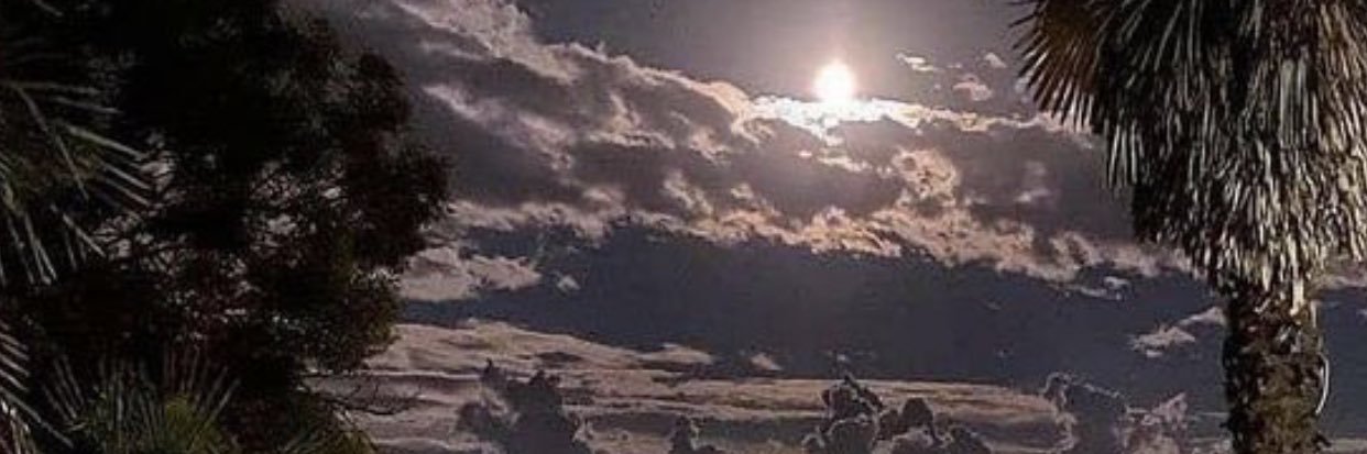a_f_f16's profile banner image