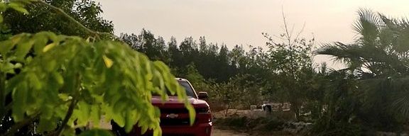 sacorah199's profile banner image
