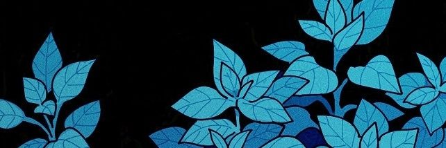 henri. | sh banner