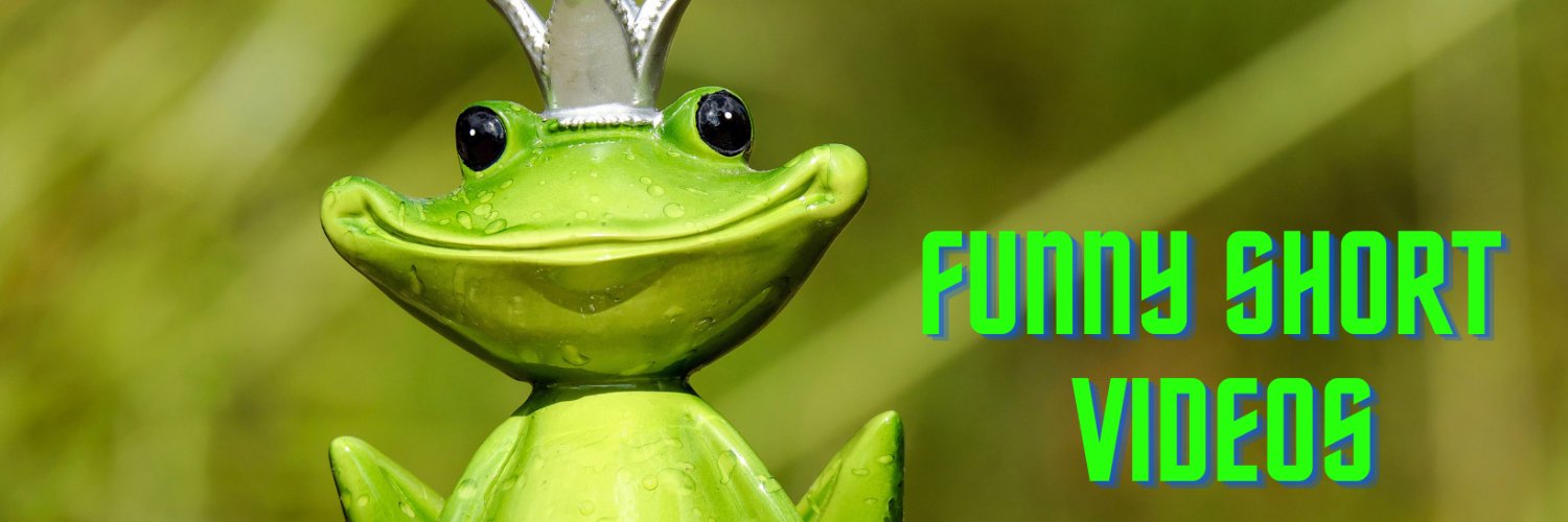 lovroot's profile banner image