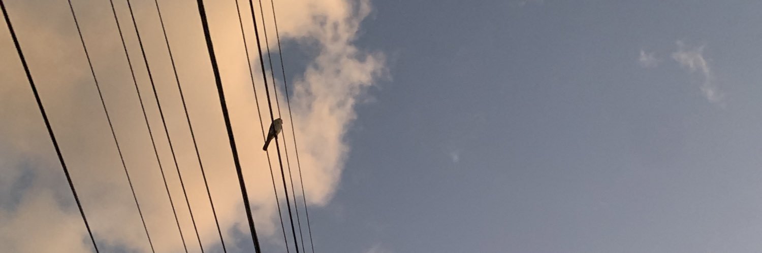 amanda_sofia24's profile banner image