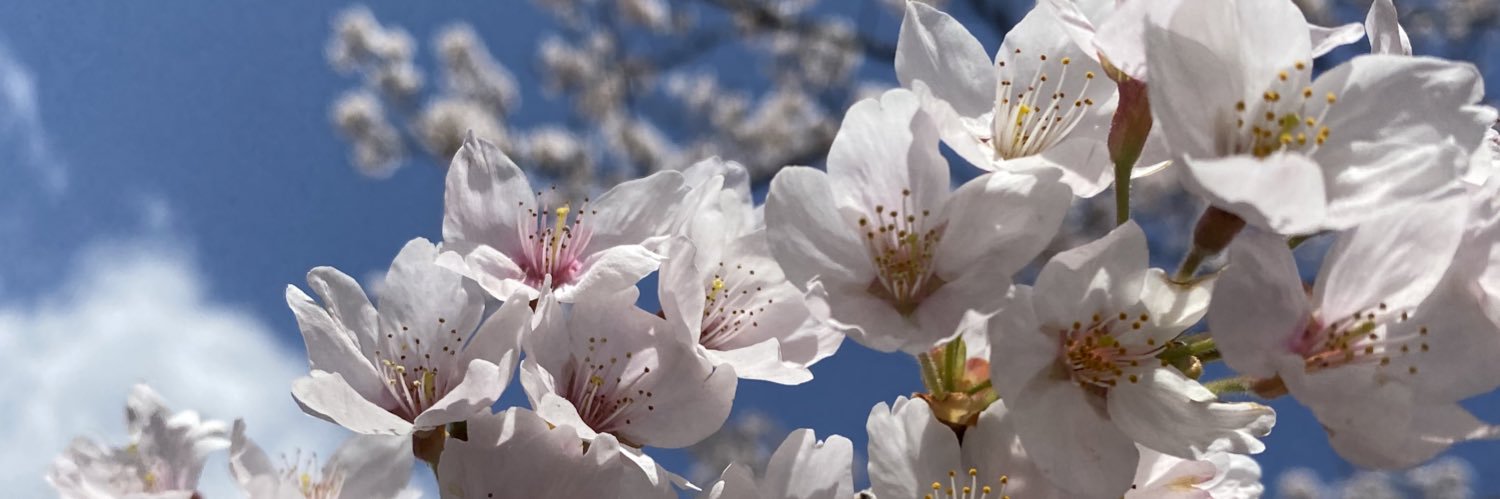 pinn0128's profile banner image