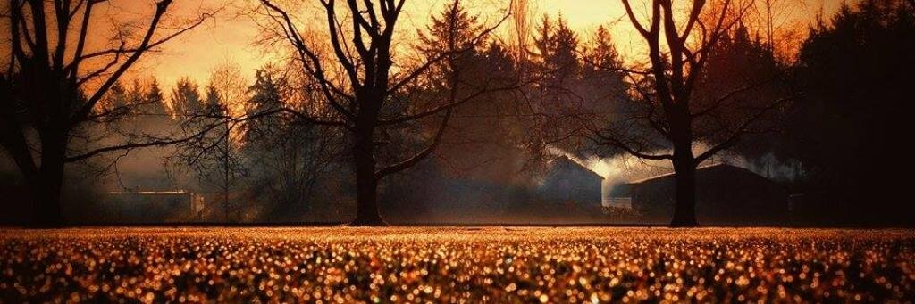 mcanyildirimm's profile banner image