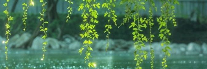 chimchmina's profile banner image