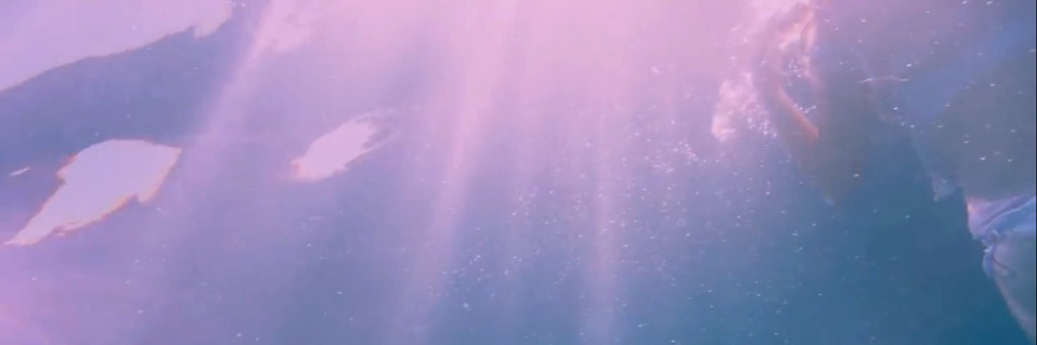 arianasbeyond's profile banner image