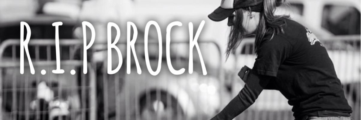 BatdogBrock's profile banner image