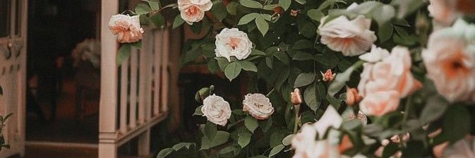 beba_3344's profile banner image