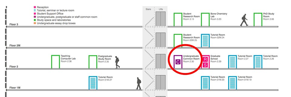 HCA_PeerSupport banner