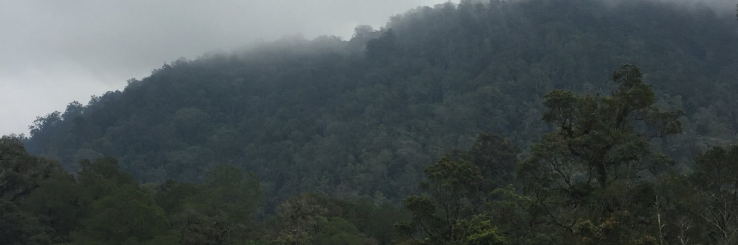 ysnunu's profile banner image