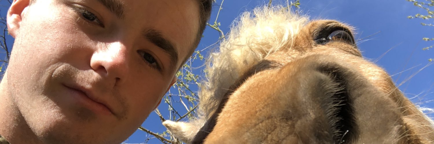 z_uphouse's profile banner image