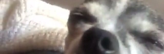Brrreck's profile banner image