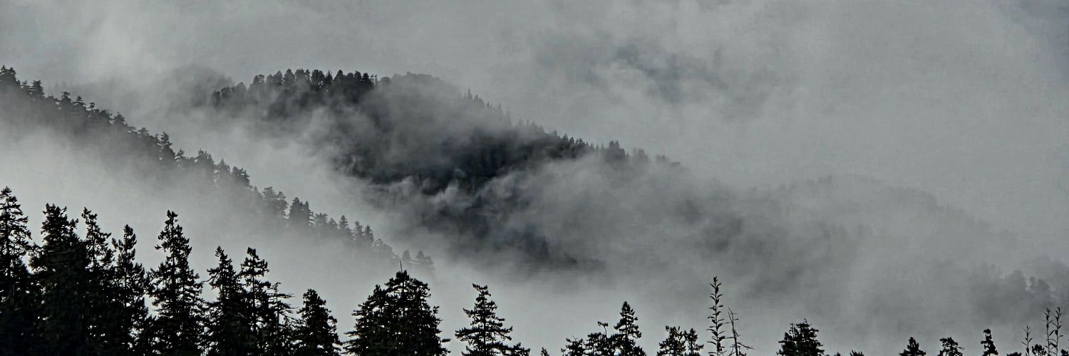 Weeping_Choir's profile banner image