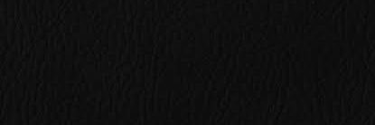 The Notorious 恐縮王 ™️ banner