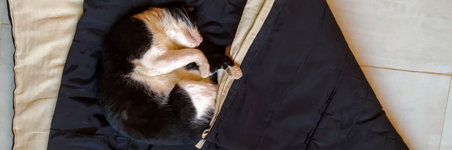 fachups11's profile banner image