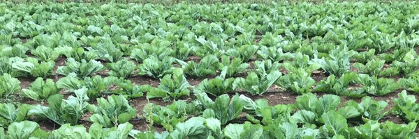 macdonaldmtilen Profile Banner