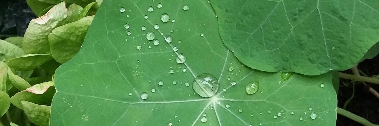 Sofie Louise Rygård banner