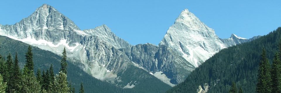 erinvandaelee's profile banner image