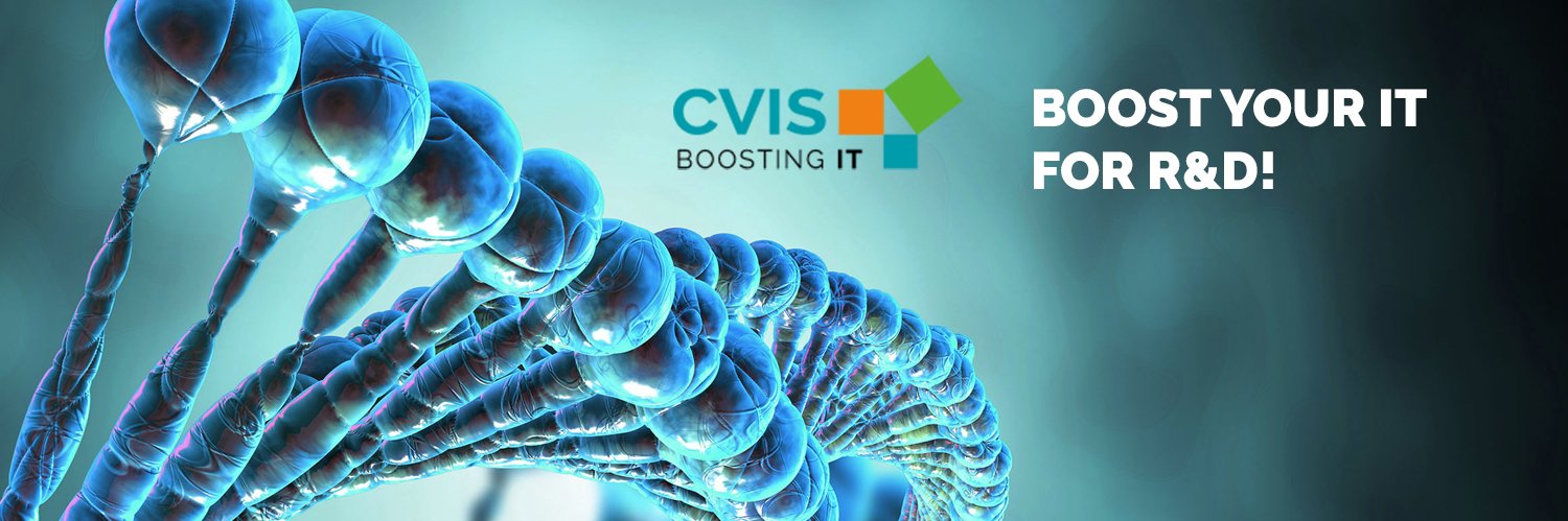 CVIS International banner