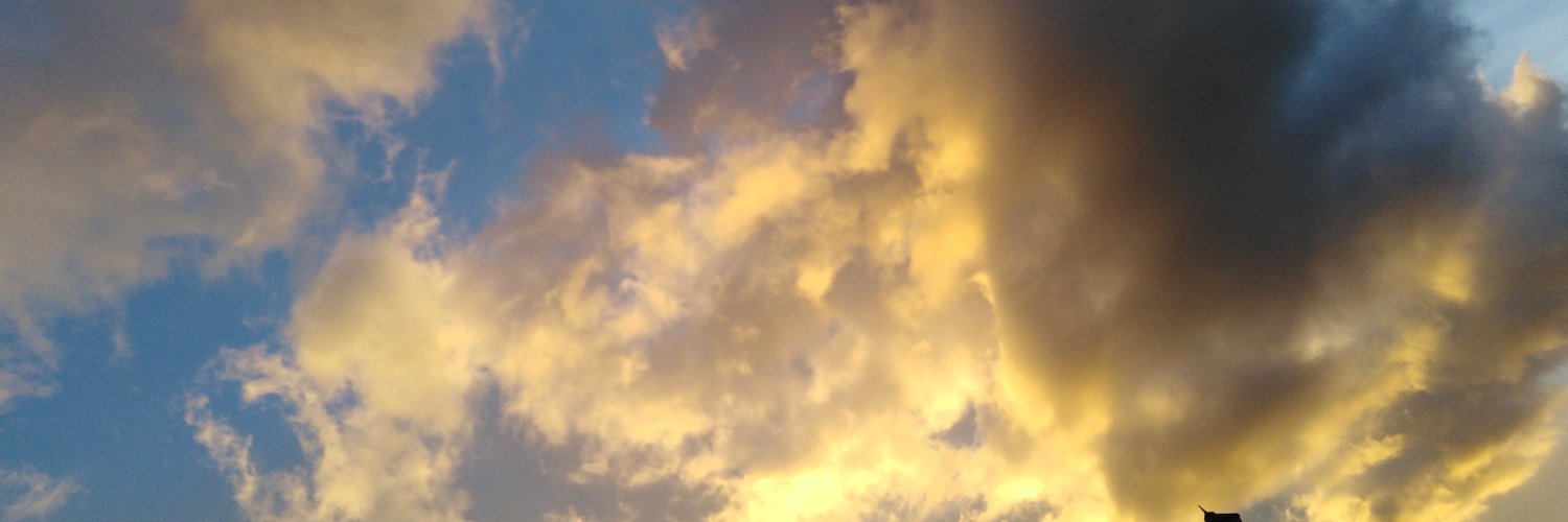 TimAshbourne's profile banner image