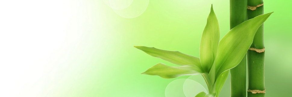 Inv_Sanatural's profile banner image