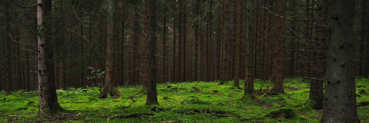 schalkerbrot's profile banner image