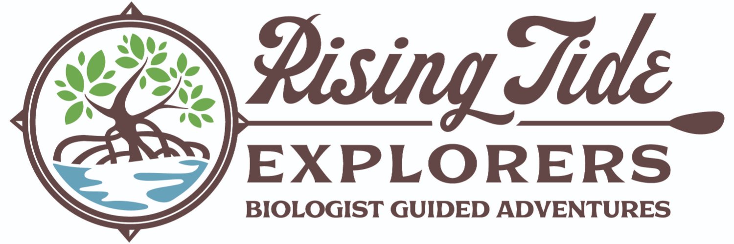 RisingTideFL's profile banner image