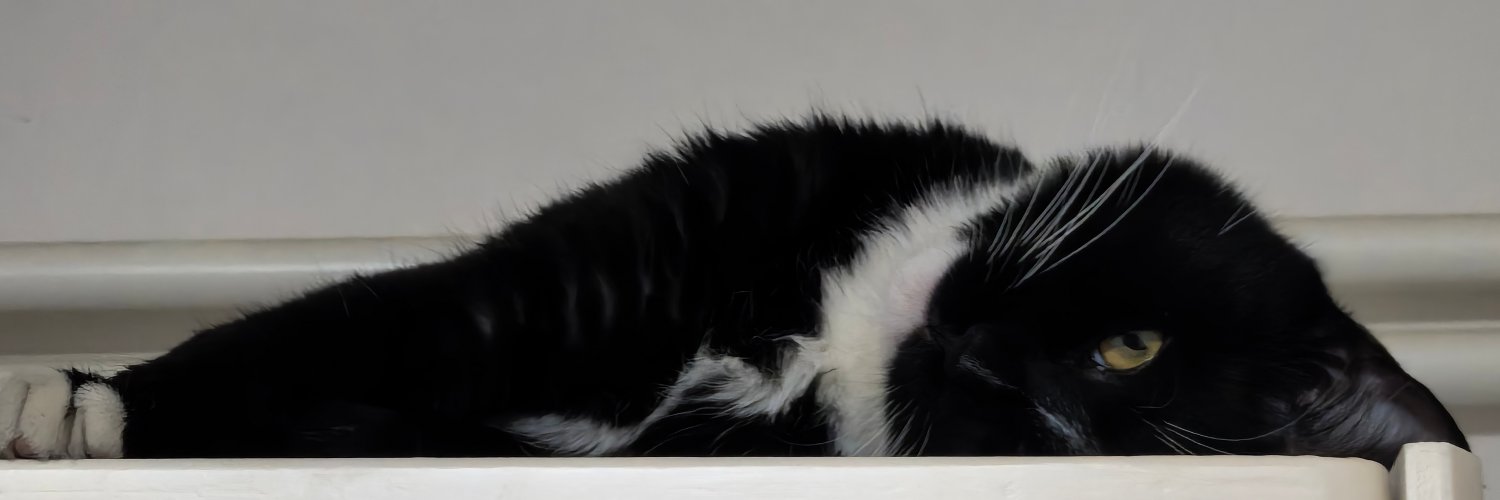 Xxyxtjy's profile banner image
