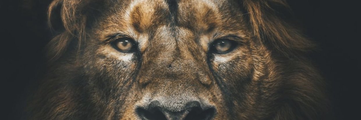 younggasound's profile banner image