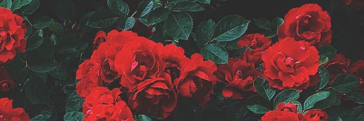 GiGiVDay's profile banner image