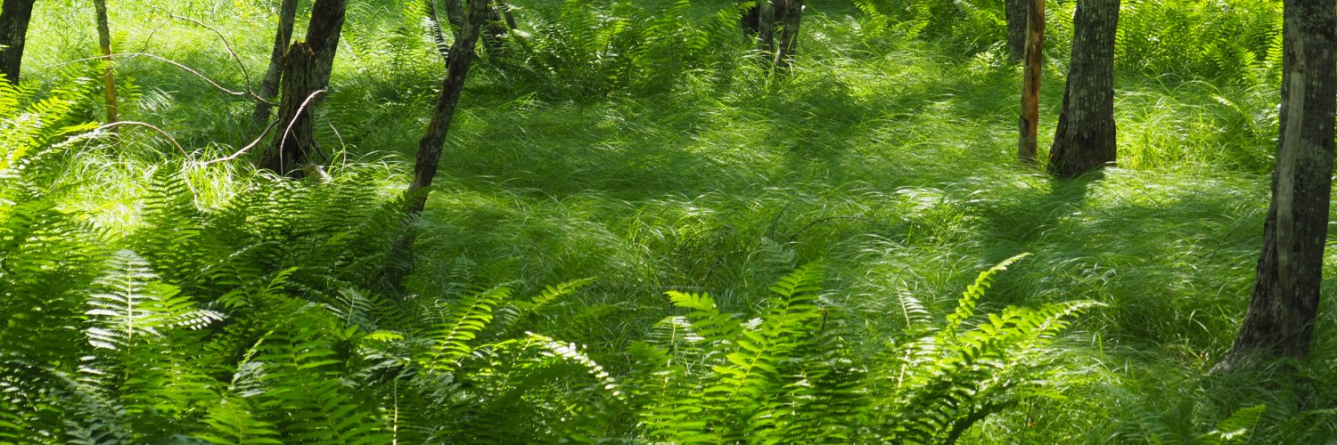 EMcGranachan's profile banner image