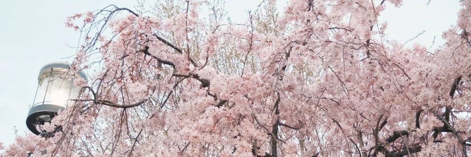 ogreenwood01's profile banner image