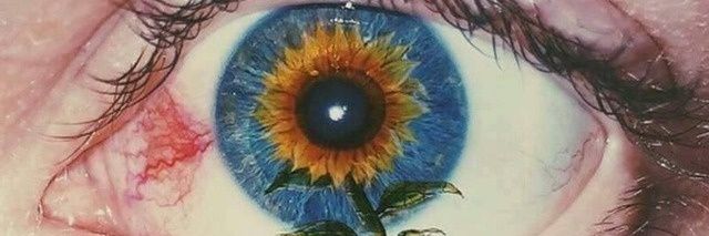s u n banner