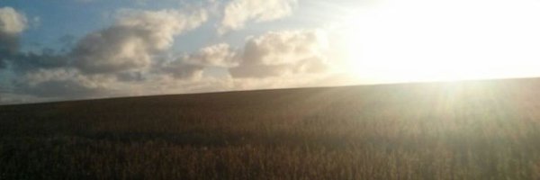 jffurmento Profile Banner