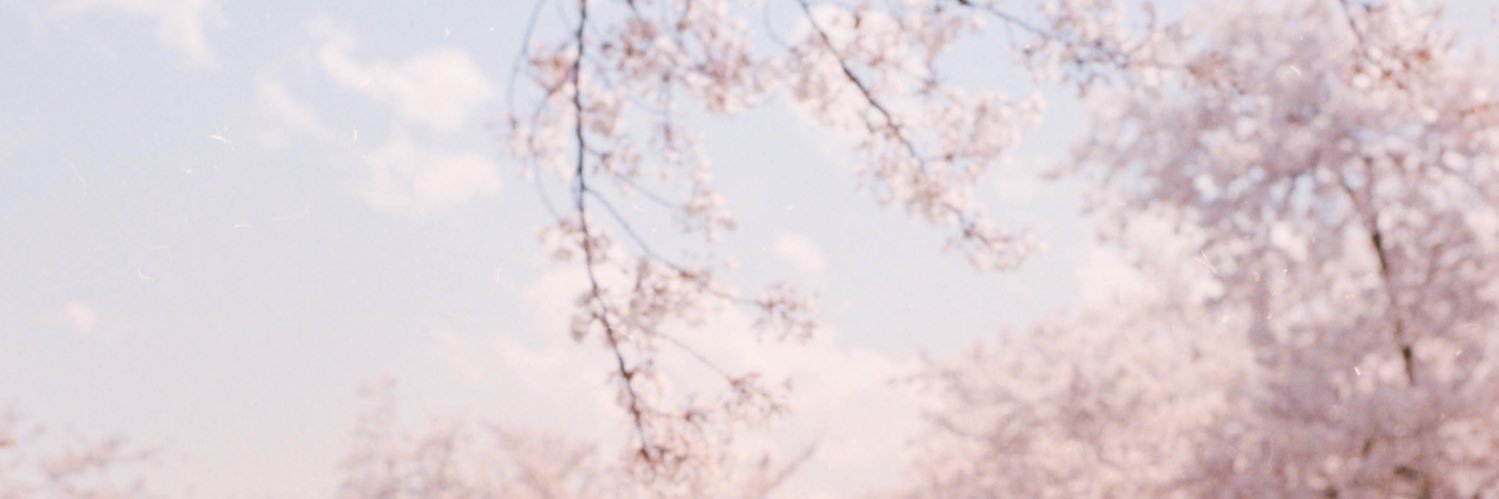 niccover's profile banner image