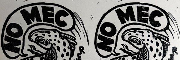 HansleyCaroline Profile Banner