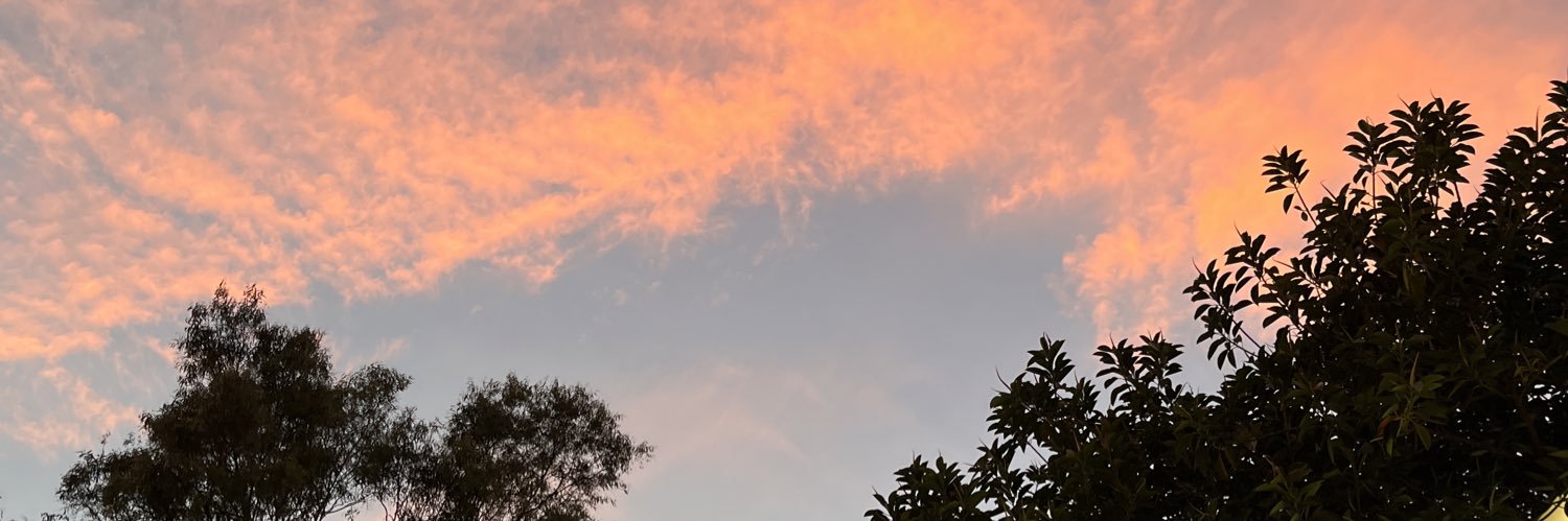 Melisa banner