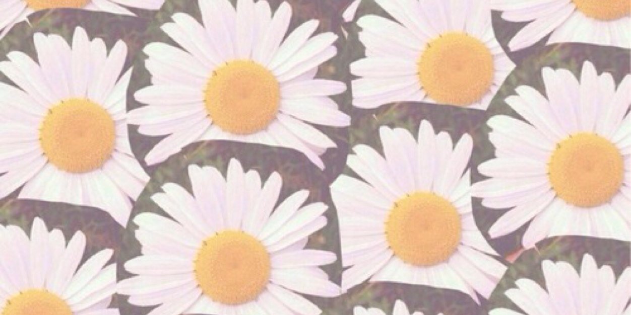 tania_jo's profile banner image