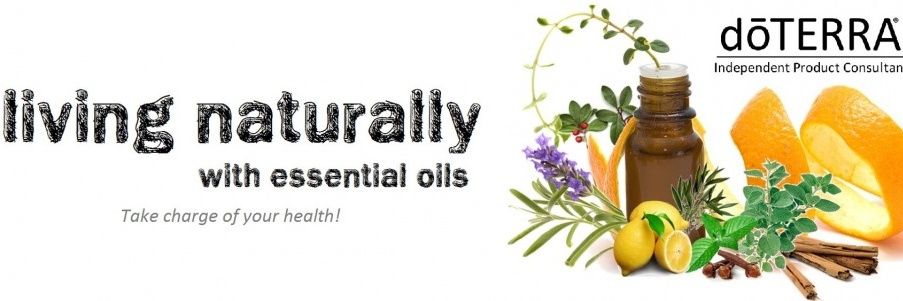 The Essential Sarah banner